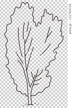 戶外及花園植物的向量圖 戶外及花園植物的向量圖 132764726