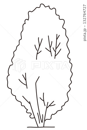 外構・庭植栽のベクターイラスト 132764727