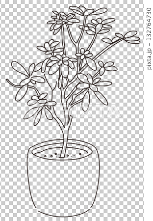 戶外及花園植物的向量圖 132764730