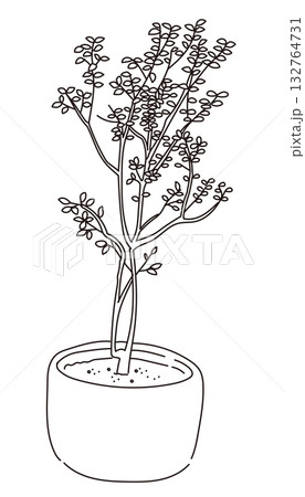 外構・庭植栽のベクターイラスト 外構・庭植栽のベクターイラスト 132764731