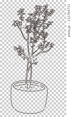 戶外及花園植物的向量圖 戶外及花園植物的向量圖 132764731