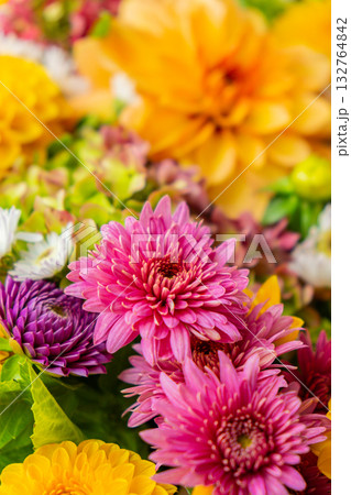 Autumn garden colorful flowers. Beautiful autumnal bouquet dahlia chrysanthemum. Red pink orange fall color fall floral background. Flower shop and florist design concept 132764842