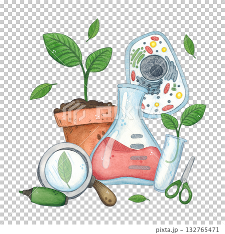 A composition of a flower pot with a young plant, flasks, test tubes, cells, and tools. Hand-drawn watercolor illustration, cartoonish. Science, festival, laboratory, solution, chemistry, biology 132765471