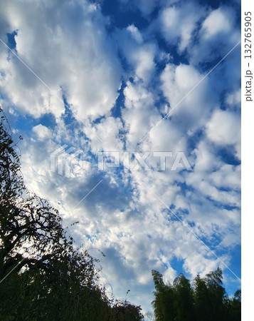 青空と広がる雲のダイナミックな風景｜爽やかで開放感のある空の表情 132765905