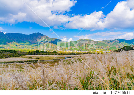 【神奈川県】秋の箱根 仙石原すすき草原 【神奈川県】秋の箱根 仙石原すすき草原 132766631