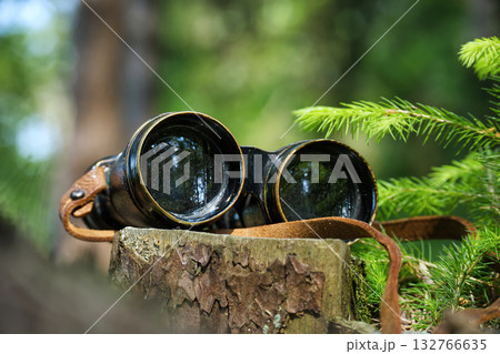 Vintage Binoculars Resting On Tree Stump In Forest, Leather Strap And Lush Greenery 132766635