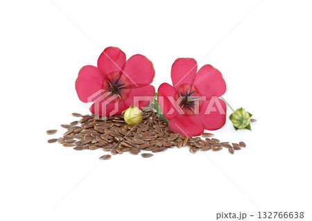 Vibrant red flax flowers with seeds, a symbol of health and wellness Vibrant red flax flowers with seeds, a symbol of health and wellness 132766638