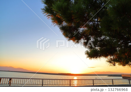 夕焼け空　夕日　海　松の木 132766968