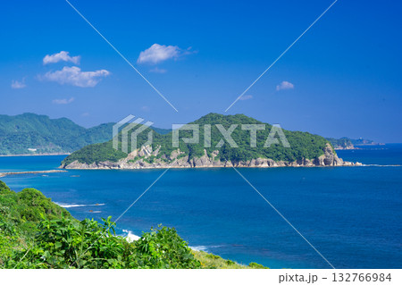 芋を洗う猿が生息する幸島 宮崎県 132766984