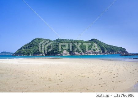 芋を洗う猿が生息する幸島 宮崎県 132766986