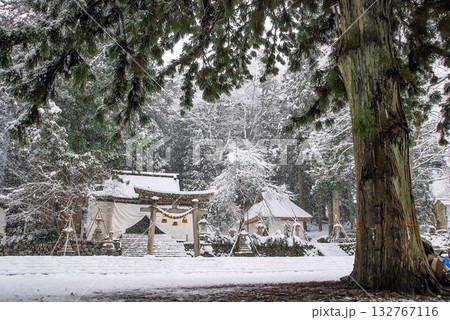 雪降る白川八幡神社の神聖な冬景色、白銀の境内に立つ巨木と歴史ある社殿 132767116