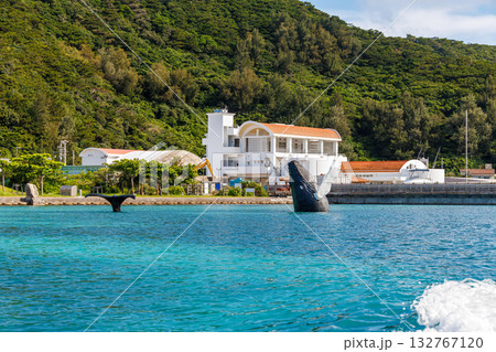 座間味港のザトウクジラのオブジェ。座間味島座間味港 沖縄県島尻郡慶良間諸島-2025 座間味港のザトウクジラのオブジェ。座間味島座間味港 沖縄県島尻郡慶良間諸島-2025 132767120
