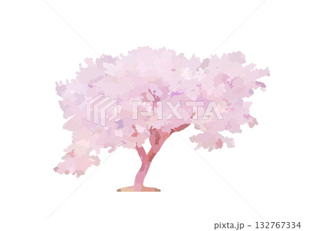 水彩風の可愛らしい一本桜 水彩風の可愛らしい一本桜 132767334