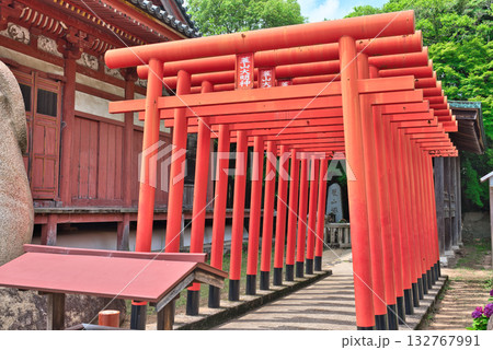 蓑山大明神朱塗りの鳥居 132767991