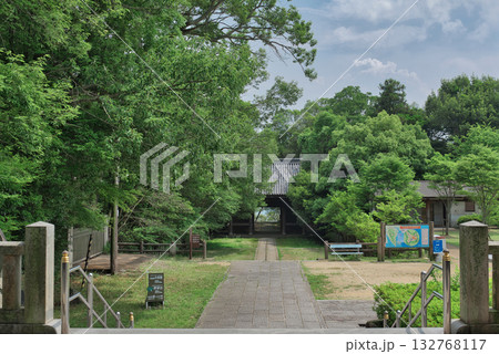 屋島寺の広場 132768117