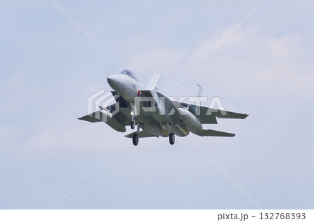 着陸態勢の飛行教導群 アグレッサー部隊のF-15J 着陸態勢の飛行教導群 アグレッサー部隊のF-15J 132768393