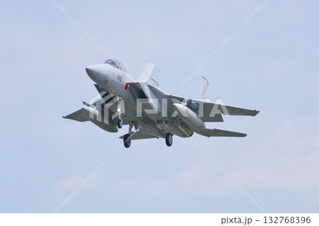 着陸態勢の飛行教導群　アグレッサー部隊のF-15J 132768396