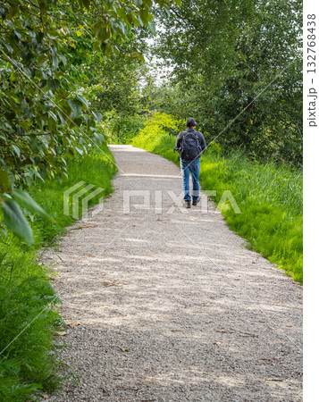 Walking path in a forest park with green trees, a man with backpack walking along the forest trail. Walking path in a forest park with green trees, a man with backpack walking along the forest trail. 132768438