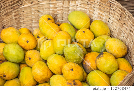 Fresh yellow mangoes in wicker basket. Tropical fruit harvest display Fresh yellow mangoes in wicker basket. Tropical fruit harvest display 132768474