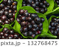 Fresh Jamun Java plum blackberry Syzygium cumini India 132768475