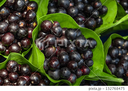 Fresh Jamun Java plum blackberry Syzygium cumini India Fresh Jamun Java plum blackberry Syzygium cumini India 132768475