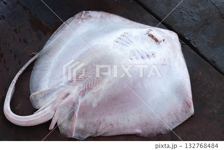 A freshly caught stingray lies on a wooden tabletop at a fish market. 132768484