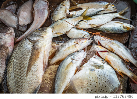 Fish variety on market. Fresh catch of fish, top view. Tropical Seafood in the Market 132768486