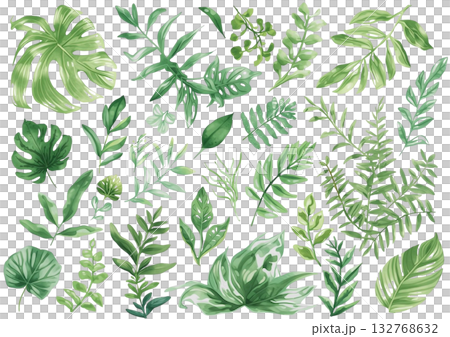 綠色葉子插圖部件合集(透明背景PNG) 綠色葉子插圖部件合集(透明背景PNG) 132768632