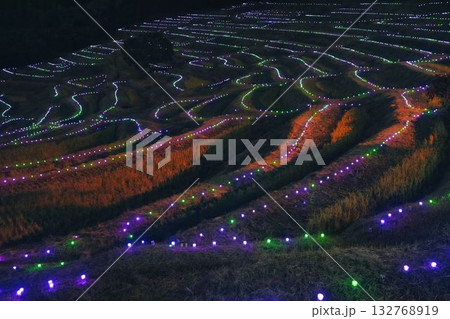 大山千枚田のライトアップ 132768919