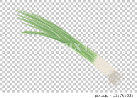 Pastel illustration of green onion 132769038