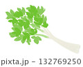 シンプルなセロリのイラスト 132769250