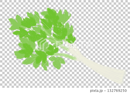 シンプルなセロリのイラスト 132769250