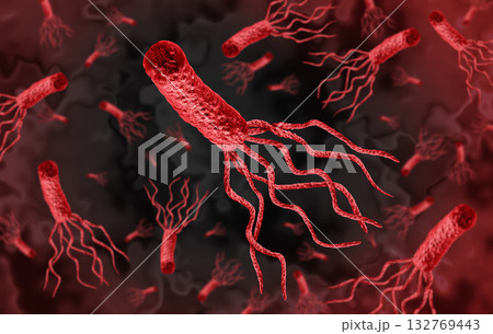 Helicobacter Pylori Helicobacter Pylori 132769443