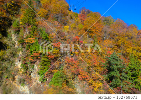 紅葉とゴンドラ 132769673