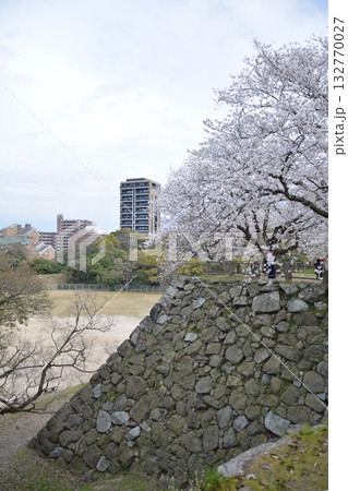 福岡城と桜 132770027