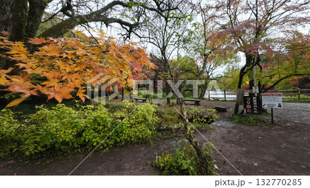 軽井沢　雲場池 132770285