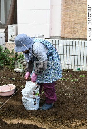 農作業中の女性 農作業中の女性 132771313