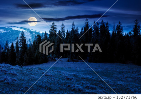 mountain landscape with spruce forest in spring at night. meadow on the hill on a in full moon light. distant range with peaks in snow under sky with clouds. beautiful countryside scenery 132771766