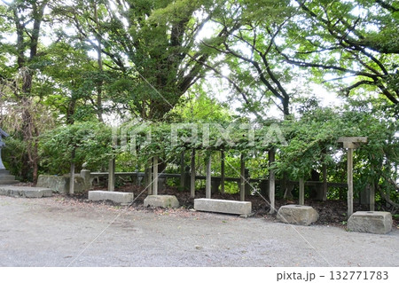 福岡県の高良大社境内の風景 福岡県の高良大社境内の風景 132771783