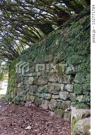 福岡県の高良大社境内の風景 福岡県の高良大社境内の風景 132771784