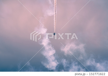 入間航空祭 2025　ブルーインパルス 132771822