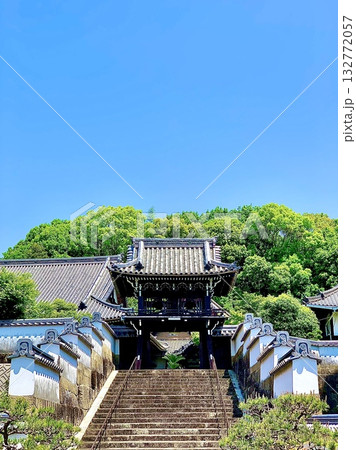 五月晴れの青空と新緑に彩られた随念寺鐘楼門 を石段から見上げる〈愛知県岡崎市門前町〉 五月晴れの青空と新緑に彩られた随念寺鐘楼門 を石段から見上げる〈愛知県岡崎市門前町〉 132772057