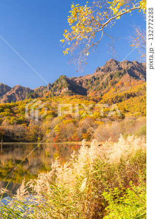 《長野県》鏡池・紅葉最盛期の戸隠 《長野県》鏡池・紅葉最盛期の戸隠 132772288