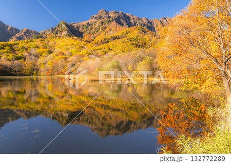 《長野県》鏡池・紅葉最盛期の戸隠 《長野県》鏡池・紅葉最盛期の戸隠 132772289