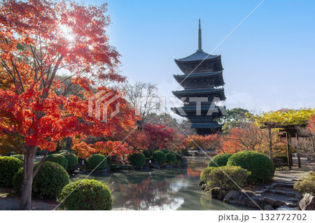 京都 東寺の五重塔と瓢箪池周辺の紅葉 京都 東寺の五重塔と瓢箪池周辺の紅葉 132772702