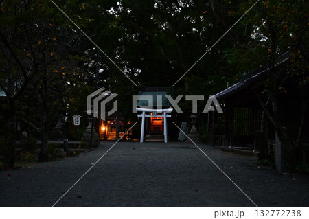 夜の柳川 三柱神社 夜の柳川 三柱神社 132772738