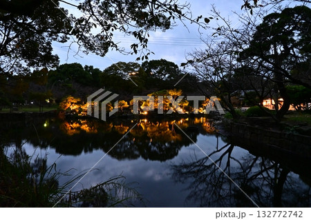 夜の柳川　三柱神社 132772742