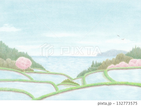 棚田から見下ろした春の海と空 棚田から見下ろした春の海と空 132773575