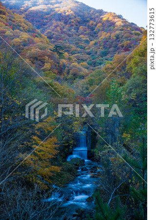 遠野市せの紅葉 遠野市せの紅葉 132773615