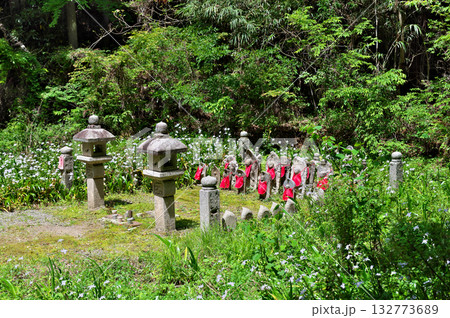 施福寺 132773689